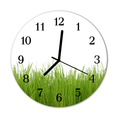 Glass Kitchen Clock Grass nature green