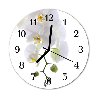 Glass Kitchen Clock Orchid flowers & plants white