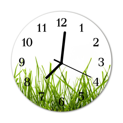 Glass Kitchen Clock Grass flowers & plants green