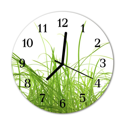 Glass Kitchen Clock Grass grass green