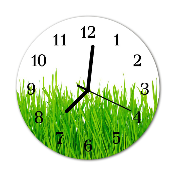 Glass Kitchen Clock Grass grass green