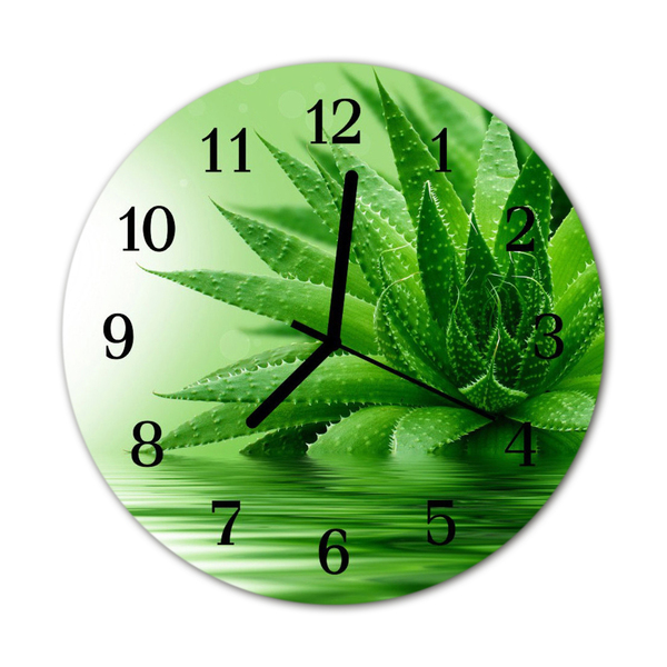 Glass Kitchen Clock Aloe aloe green