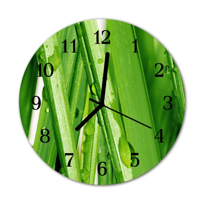 Glass Wall Clock Grass dew grass dew green