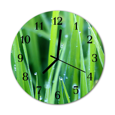 Glass Wall Clock Grass dew grass dew green