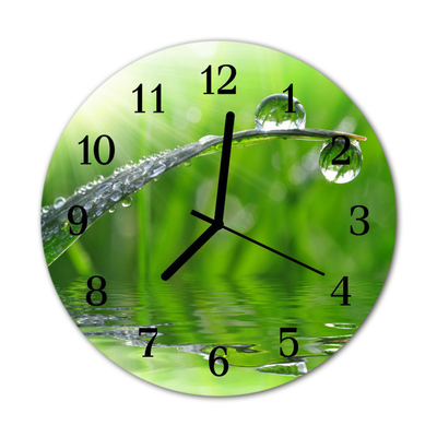 Glass Wall Clock Drop of dew nature dew green