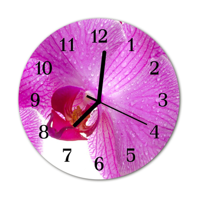 Glass Wall Clock Orchid flowers pink