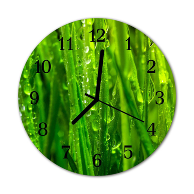 Glass Wall Clock Grass grass green