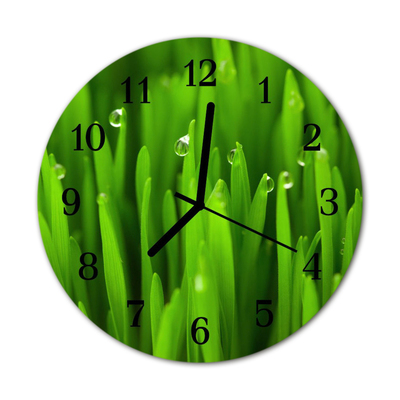 Glass Wall Clock Grass dew grass dew green