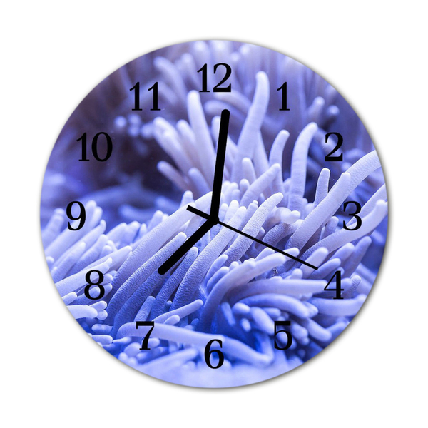 Glass Wall Clock Anemone animals blue