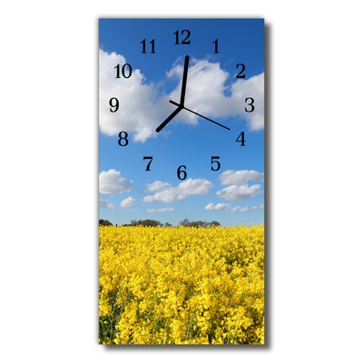 Glass Wall Clock Field