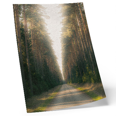 Decorative poster A fabulous forest path with tall trees