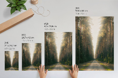 Decorative poster A fabulous forest path with tall trees