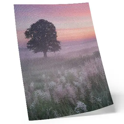 Art print lonely tree in the fog with pastel sky colors