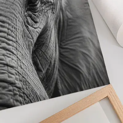 Elephant Eye Poster with textures, harmony and peace
