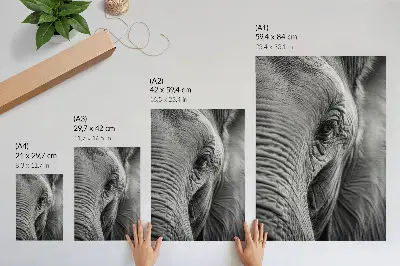 Elephant Eye Poster with textures, harmony and peace