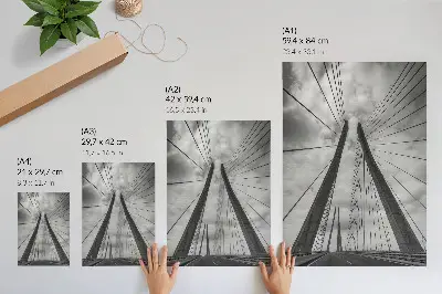 Art print featuring a symmetrical modern rope bridge design