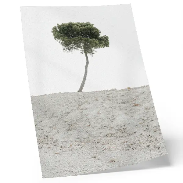 Lonely tree on a light background poster minimalist design