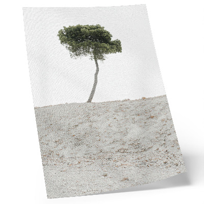Poster Lonely tree on a light background, minimalism