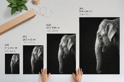 Elephant profile decorative poster monochrome portrait