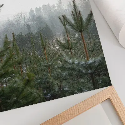 Art print featuring green pines in the fog with subtle depth and a relaxing atmosphere