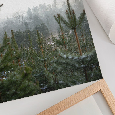 Art print Green pines, fog, subtle depth, relaxing atmosphere