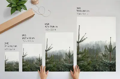 Art print featuring green pines in the fog with subtle depth and a relaxing atmosphere