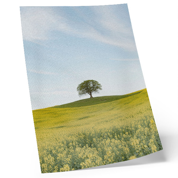 Premium wall art A tree on a hill in a yellow field