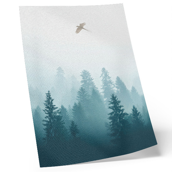 Premium wall art Gentle fog forest bird high above the trees
