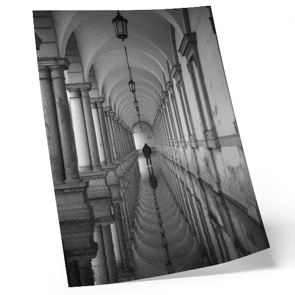 Monochromatic symmetry architecture perspective poster