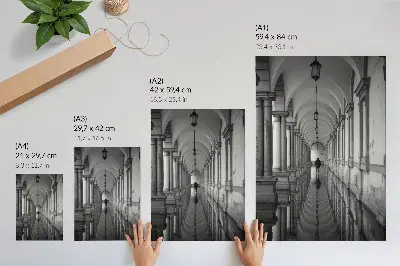 Monochromatic symmetry architecture perspective poster