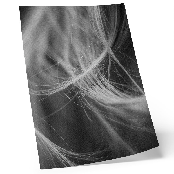 Premium wall art Delicate lines abstract modern style