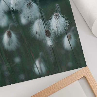 Poster Airy ears of grass, delicacy, blue, peace