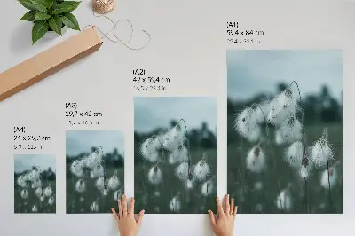 Poster airy ears of grass in blue with a peaceful design