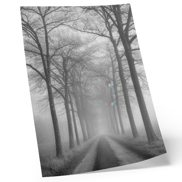 Premium wall art Misty Tree Alley Modern Minimalism
