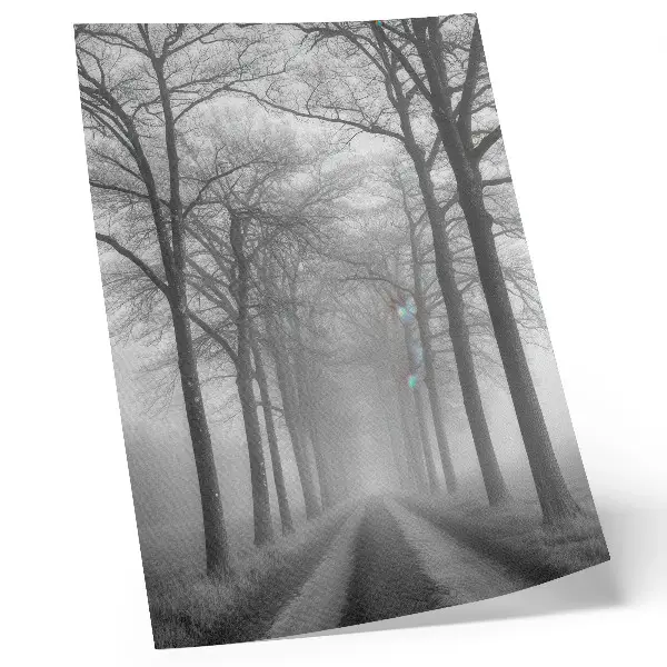 Misty Tree Alley Wall Art modern minimalism style