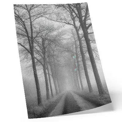 Misty Tree Alley Wall Art modern minimalism style