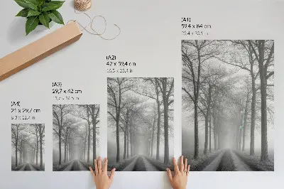 Misty Tree Alley Wall Art modern minimalism style