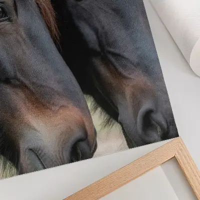 Two horses art print in close contact, full of elegance