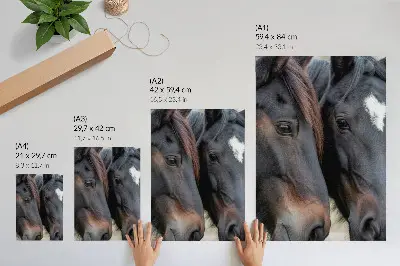 Two horses art print in close contact, full of elegance