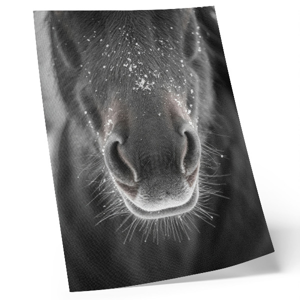 Premium wall art Photorealistic close-up of a horse's face in the snow