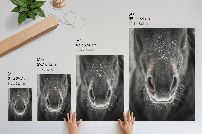 Premium wall art Photorealistic close-up of a horse's face in the snow