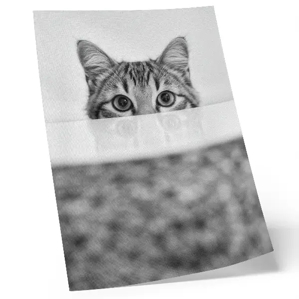 Cat behind the surface poster minimalist black and white design