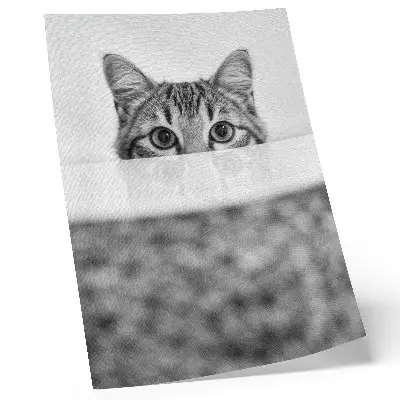 Cat behind the surface poster minimalist black and white design