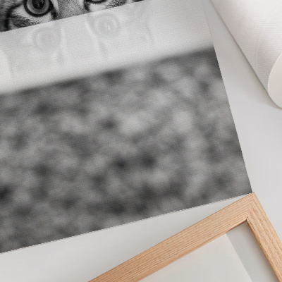 Poster Cat behind the surface black and white minimalism