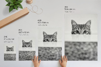 Poster Cat behind the surface black and white minimalism