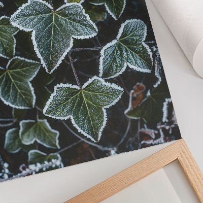 Premium wall art Green leaves with white frost on the edges