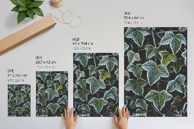 Premium wall art Green leaves with white frost on the edges