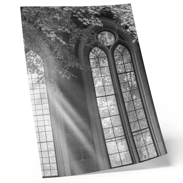 Premium wall art old Gothic windows with light and leaves mystery