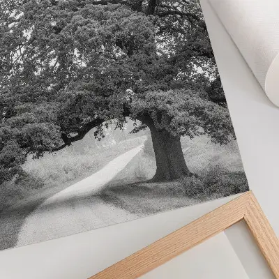Monumental tree landscape decorative poster peaceful scenery print