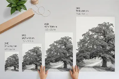 Monumental tree landscape decorative poster peaceful scenery print